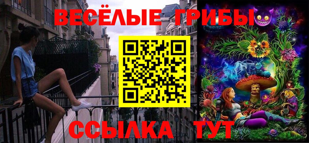 Псилоцибиновые грибы Cubensis Елизово