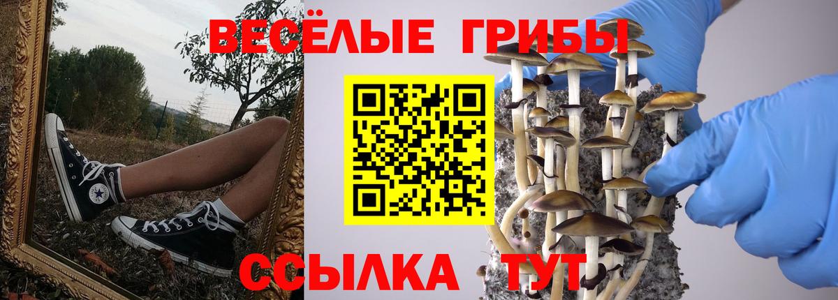 Елизово  Псилоцибиновые грибы GOLDEN TEACHER  Вход с VPN 